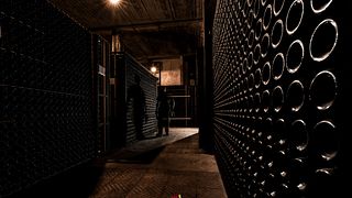 Lombardy's Franciacorta: Museum Tour & Wine Tasting