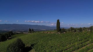 Cata de vinos en Poggi del Chianti Monnanni