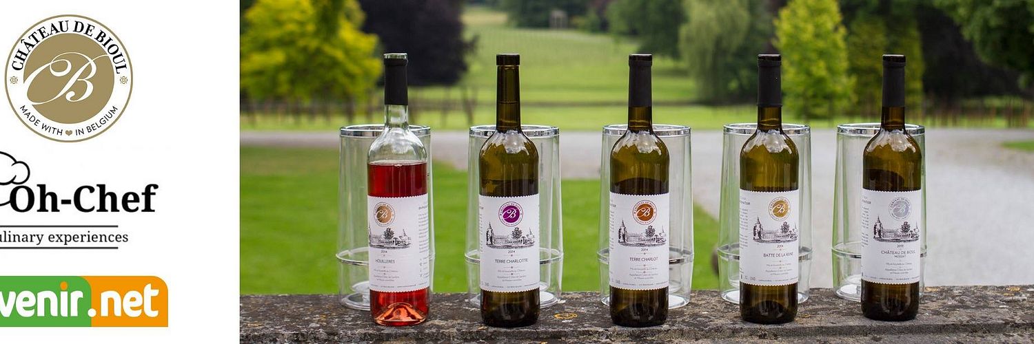 Chateaudebioul Header