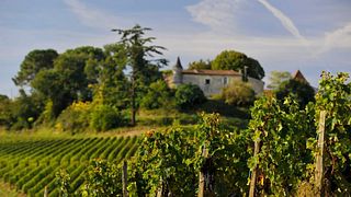 Château La Croizille: A Blend of Tradition and Innovation