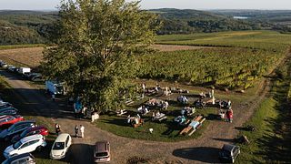 Degustazione di vini di qualità superiore e tour dei vigneti presso l'azienda vinicola Tóth Ferenc
