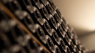 Degustazione di vini e visita della vigna e della cantina a Quinta da Falorca