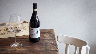 Dégustation de vins et visite de la cave Mauro Marengo