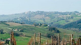 Marche's Organic Wine & Vineyard Tour at Brunori