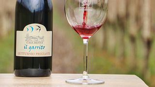 Degustação de vinhos e tour na Casa Benna