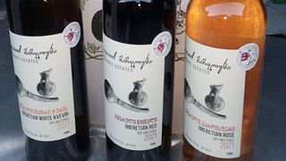 Cata de vinos en Baghdati Estates