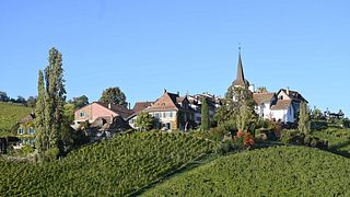 Vinprovning och rundtur på Domaine La Colombe