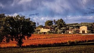 Expérience classique au domaine viticole Perticaia 