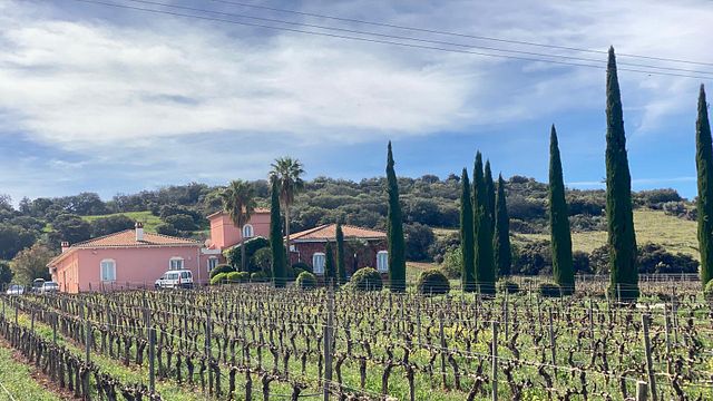 Visita guiada à adega e degustação de vinhos harmonizada com tapas locais.