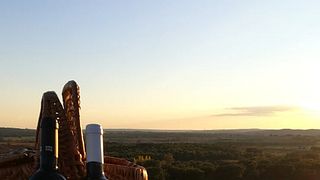 Besuch und Weinprobe am Monte do Pintor