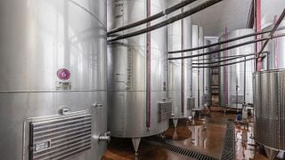 VIP-Paket | Weinprobe im Weingut Shumi