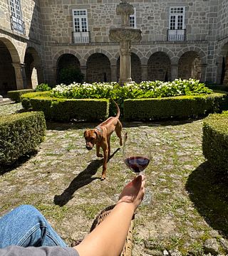 Monastic Vineyards: Douro Wine & History Tour