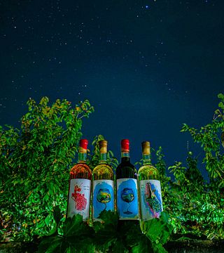 Orta Winery