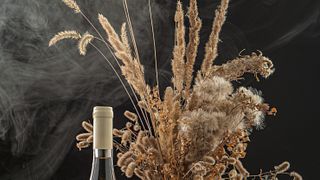 Central Serbia Wine & Art Tour at Oplenac