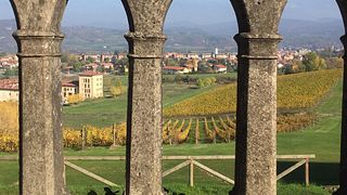 Dégustation de vins et visite à la Società Agricola La Bollina