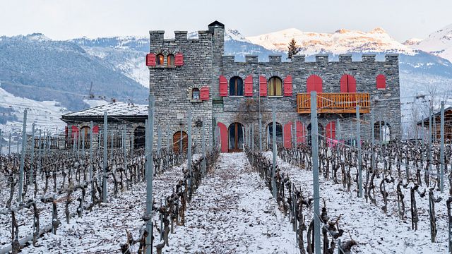 Degustazione di vini classici con aperitivo vallesano alle Colline de Daval