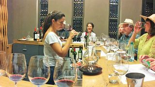 Tour privato del vino Lujan de Cuyo