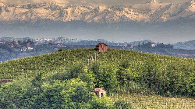 Azienda Agricola Pasquale Pelissero