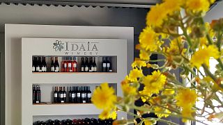 Weinprobe und Tour im Weingut Idaia