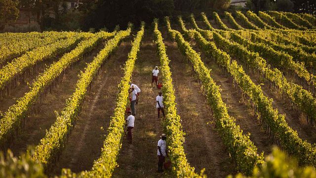 Donna Emma | Weinprobe bei Dianella