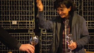 Viagem de um dia com degustação de vinhos saindo de Istambul com um especialista em vinhos