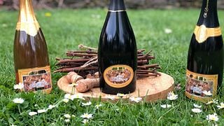 Weinprobe und Führung bei St. Laurentius Sekt GmbH