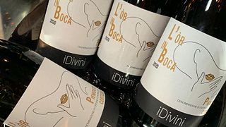 Descubra Piamonte: Cata de vinos blancos y experiencia en bodega