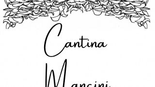 Weinbergbesuch und Verkostung in der Cantina Mancini