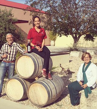 Bodega Sarmentero: A Hidden Gem in Ribera del Duero