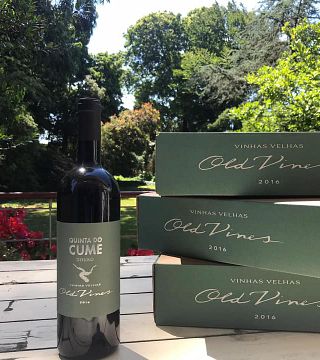 Degustazione di vini e tour a Quinta Do Cume