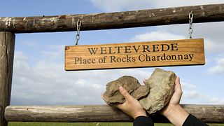 Weltevrede Wine Estate