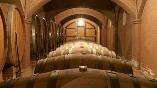 Veneto Wine Journey at Sandro De Bruno