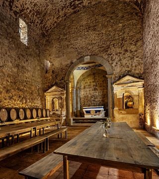 New & Old Vineyards | Alentejo, Portugal