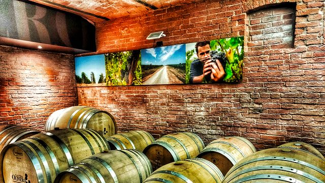 Dégustation Deluxe de 3 vins à la Cantina Olivero