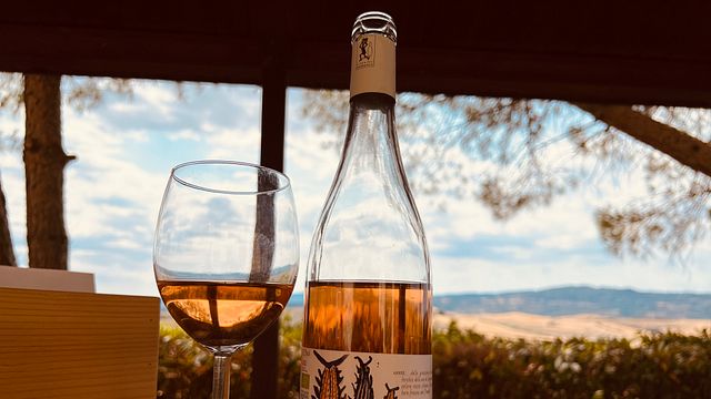 Caminhando na vinha com uma taça de vinho