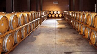 Weinprobe und Besichtigung im VA di Vinchio Vaglio Serra