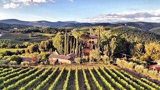 Premium-Weinprobe und Tour in der Fattoria Della Aiola