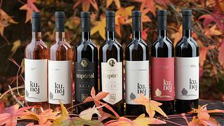 Wine & Chocolate Tasting Experience at Kunej Winery
