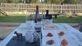 Mallorca vin- och ostprovning