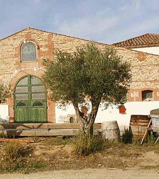 Languedoc-Roussillon Vineyard Wine Journey