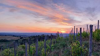Skydeck - solnedgångspicknick med 360° utsikt över natursköna Maremma-kullar