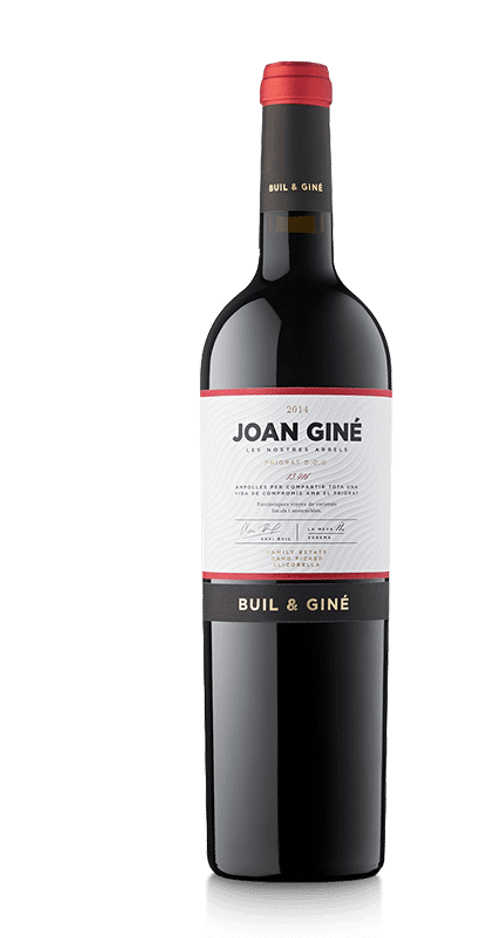  Joan Giné