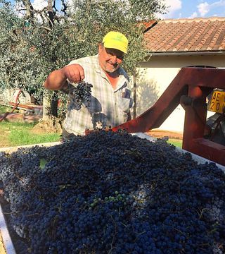 Poggio al Bosco Winery