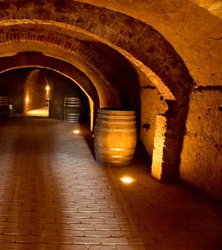 Weinprobe und Tour bei Usiglian del Vescovo