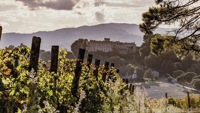 Degustação com visita ao Castelo de Ramazzano | Tenute Aliani