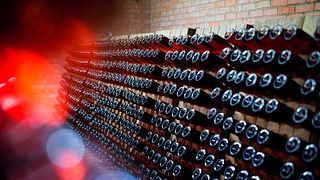 Weinprobe im Burkheimer Winzer Am Kaiserstuhl Eg