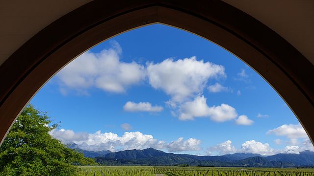 Cata clásica de Clos Henri 