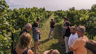 Cata de vinos y visita guiada a La Frassina