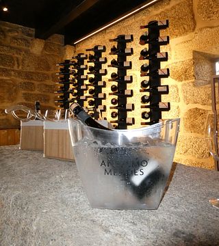Entdecken Sie das Weinerlebnis und die Weintour 