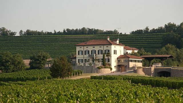 Schiopetto Winery
